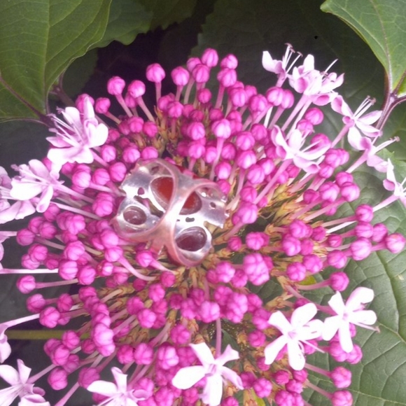Vintage RUBY & Carnelian Agate Ring - Picture 4 of 16